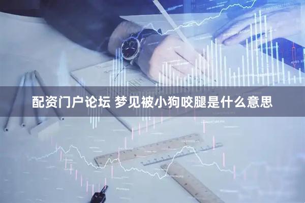 配资门户论坛 梦见被小狗咬腿是什么意思