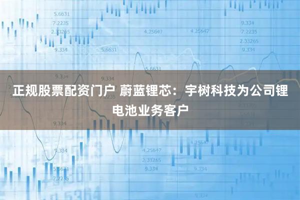 正规股票配资门户 蔚蓝锂芯：宇树科技为公司锂电池业务客户